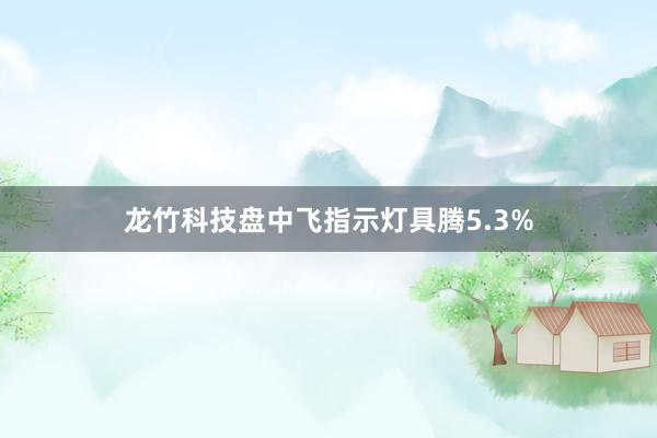 龙竹科技盘中飞指示灯具腾5.3%
